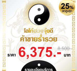 รับออกแบบโลโก้ฮวงจุ้ย -ราคาถูก-ลด-25%-แพ็คเกจ 3 แบบ